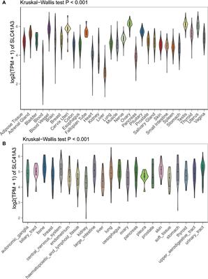 A Comprehensive Prognostic and Immune Analysis of SLC41A3 in Pan-Cancer